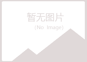 偃师忆山能源有限公司